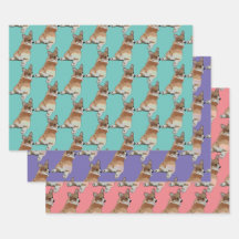 Conjunto de Papel de Presente Corgi
