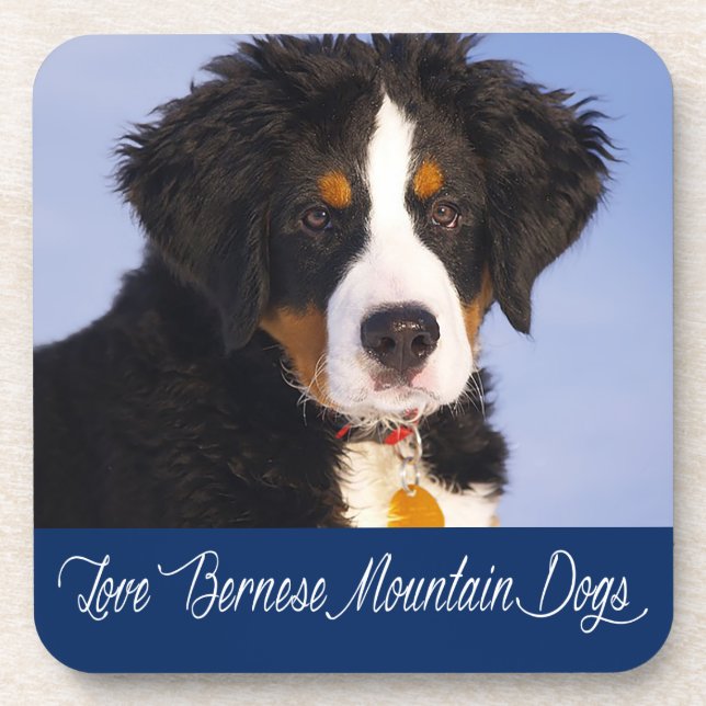 Conjunto de Porta-Copos de Cachorro Bernês de Mont (Frente)