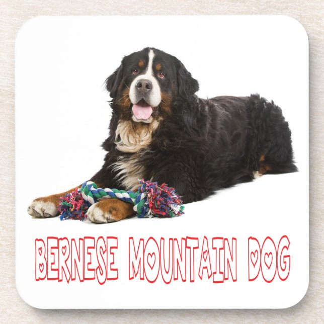Conjunto de Porta-Copos de Cachorro Bernese Mounta (Frente)