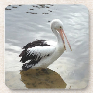 Conjunto de Porta-copos Pretty Pelican