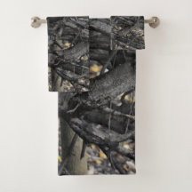 Amor a Árvore Falsa