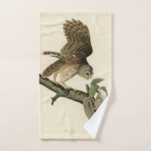 Conjunto De Toalhas Barred Owl, os Pássaros da América de John James A