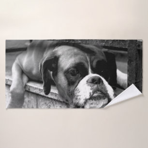 Conjunto De Toalhas Boxer Dog On Windowsill btcn