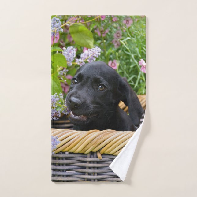 Conjunto De Toalhas Cachorro Negro-Bonito Labrador Retriever Foto Pet  (Toalha de mão)