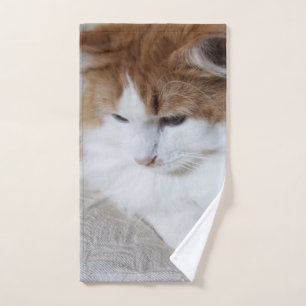 Conjunto De Toalhas Contemplação do Gatinho (Rico Felino): Foto Cat