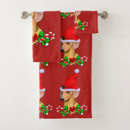 Conjunto De Toalhas Dachshund no Natal de Santa Hat