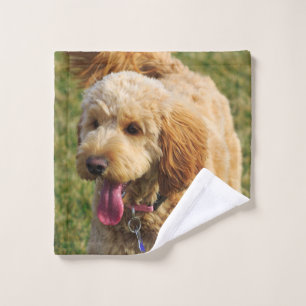 Conjunto De Toalhas Foto de Cachorro Goldendoodle