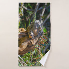 Conjunto De Toalhas Iguana Laranja, Fotografia Belize