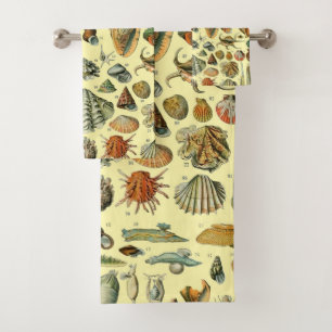 Conjunto De Toalhas Impressão de Conchas Vintage Adolphe Millot Costei