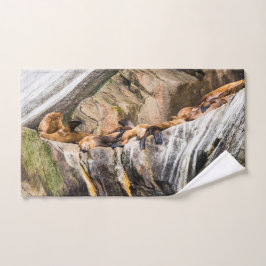 Conjunto De Toalhas Leões Do Mar Deitados Nas Rochas