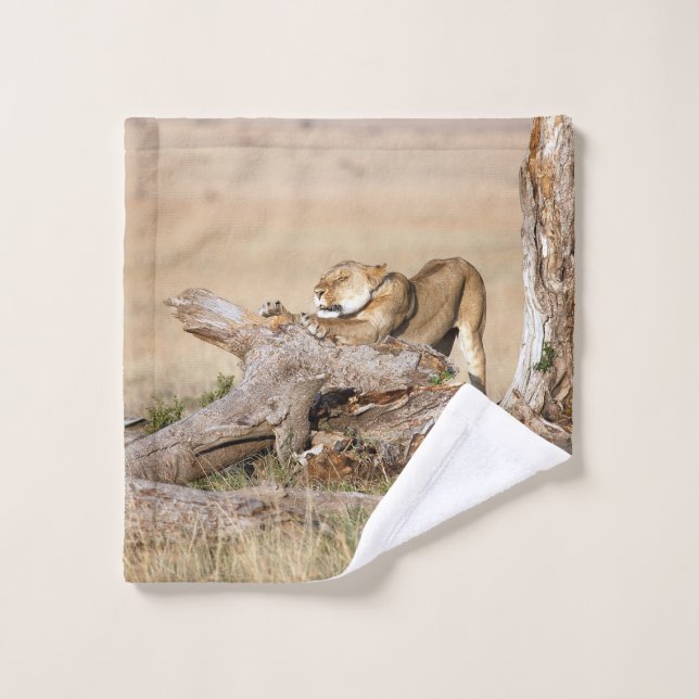 Conjunto De Toalhas Lioness alongando (Pano de lavar)