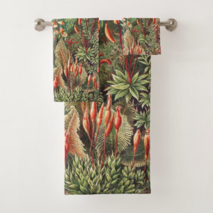 Conjunto De Toalhas Mosses, Muscinae Laubmoose por Ernst Haeckel