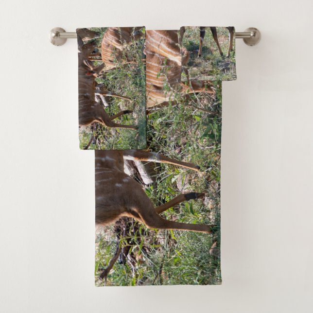 Conjunto De Toalhas Nyala Antelope African Wildlife Photo (Insitu)