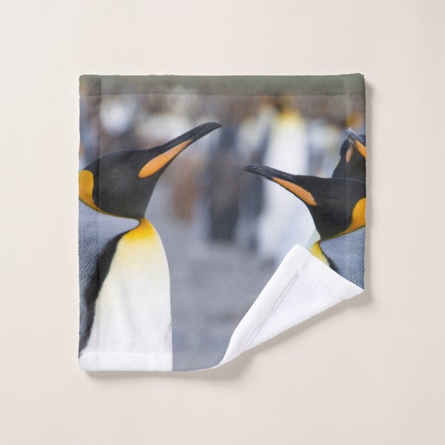 Conjunto De Toalhas Pinguins do Rei (Pano de lavar)