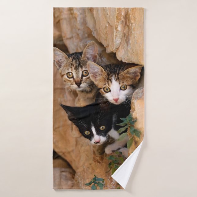 Conjunto De Toalhas Três Gatinhos Curiosos Enfrentam Foto Engraçada - (Toalha de Banho)