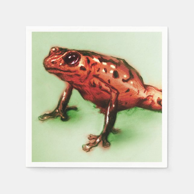 Conjunto ilustrado de guardanapos - Sapo (Frente)