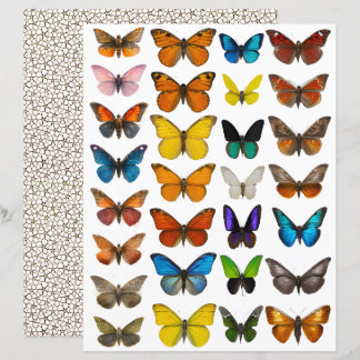 Conjunto WatercolorButterfly para corte exigente