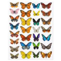 Conjunto WatercolorButterfly para corte exigente
