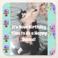 Conjuntos de Porta-Copos de Gato Tuxedo Fofo Feliz