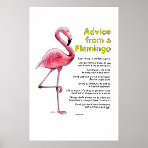 Conselhos de um Poster Flamingo