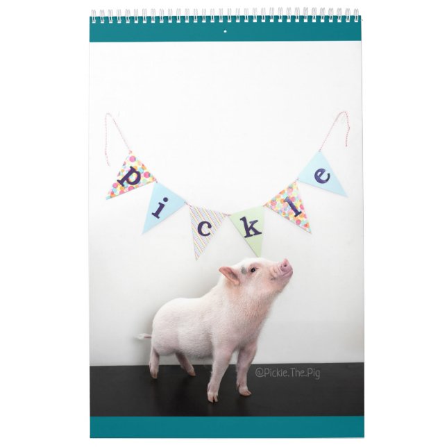 Conserve o calendário do porco (Capa)