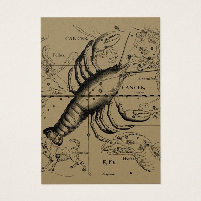 Constelação cancer Hevelius 1690 de junho de 21 a  (Frente)