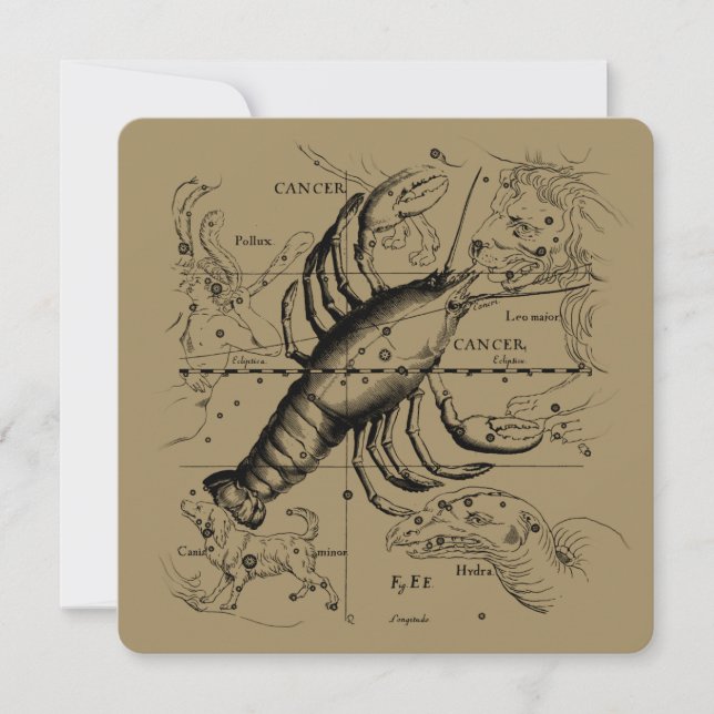 Constelação Cancer Hevelius 1690 de junho de 21 a  (Frente)