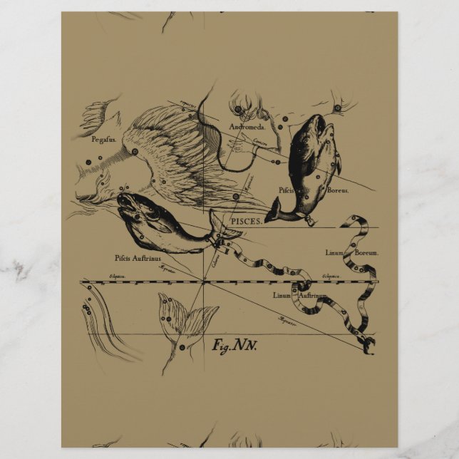 Constelação de peixes Hevelius 1690 Decor (Frente)