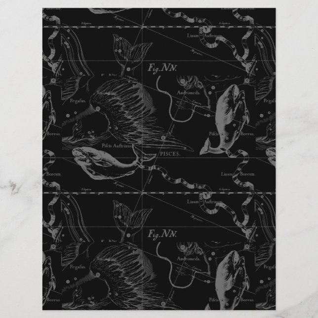 Constelação de Peixes Hevelius 1690 em Preto (Frente)