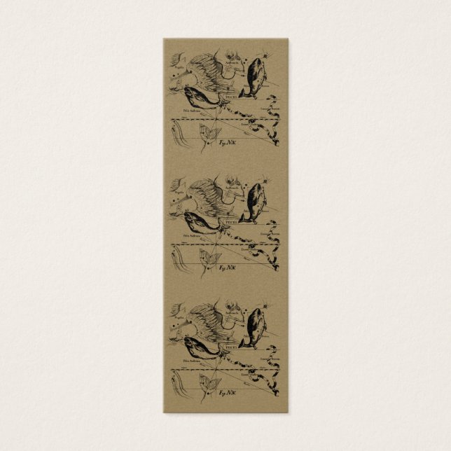 Constelação de peixes Hevelius 1690 Fev19 - março  (Frente)