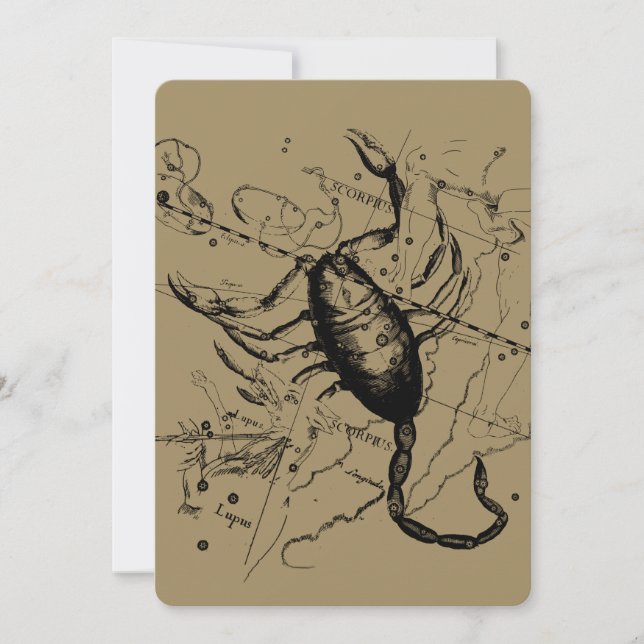 Constelação Scorpio Hevelius 1690 Decor (Frente)