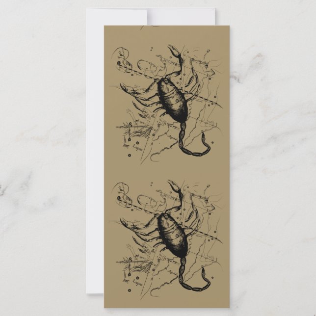 Constelação Scorpio Hevelius 1690 Decor (Frente)