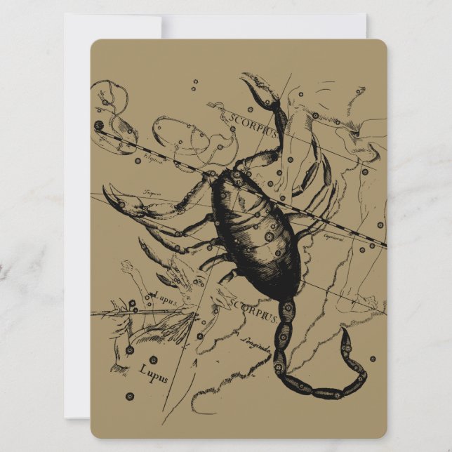 Constelação Scorpio Hevelius 1690 Decor (Frente)