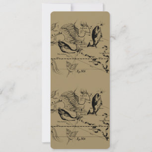 Constellation Hevelius 1690 Feb19 - março 20