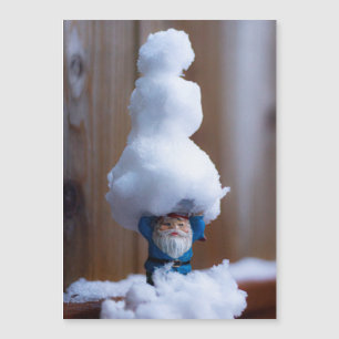 Construiu um Boneco de Neve V