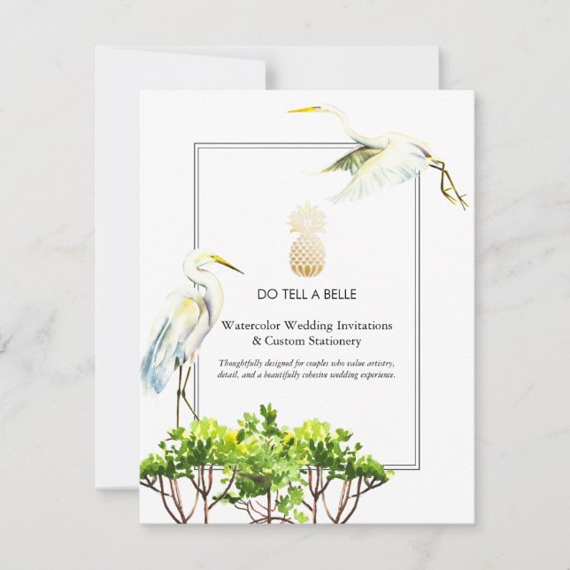 Contar a uma Belle Promo (Frente)