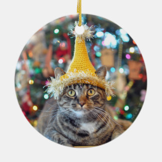 Conversa aos enfeites de natal 2015 da pata