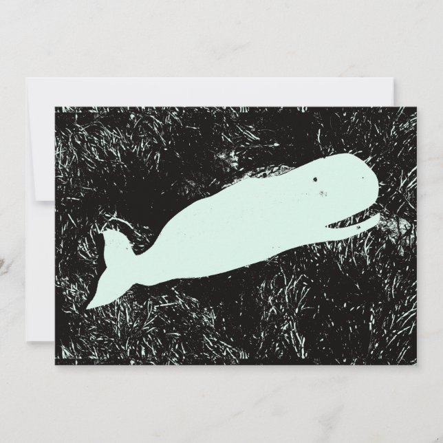 convite à baleia branca (Frente)