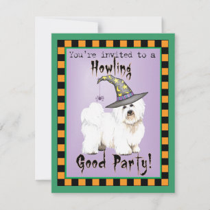 Convite à Bruxa de Coton