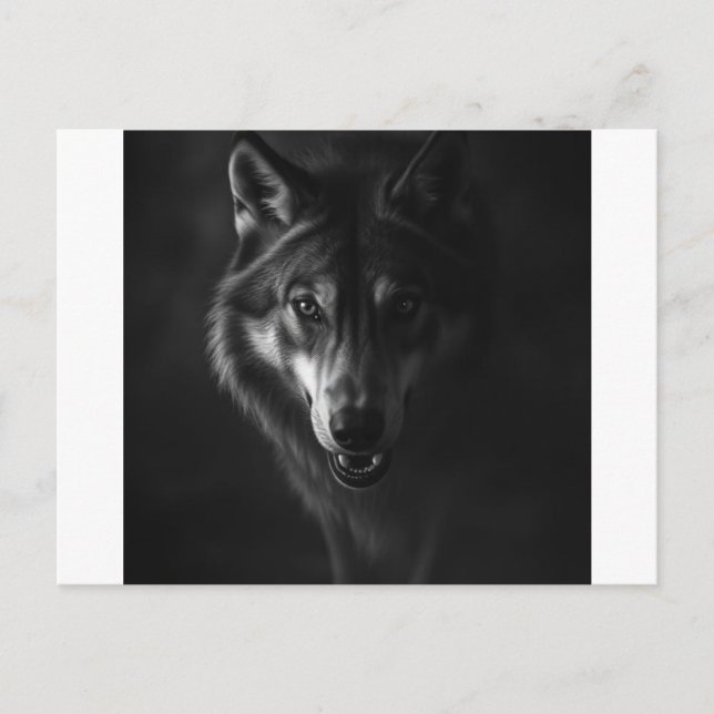 Convite & Anúncio  (Frente)