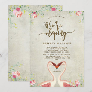 convite ao desenvolvimento de casandos de flamingo