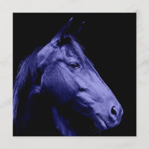 Convite azul do design do cavalo