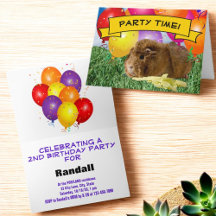 Balões de Festa de Aniversário Infantil de Porquin