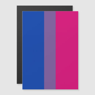 Convite Bandeira do Orgulho Bissexual