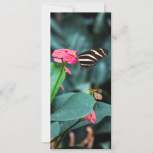 Convite Bela borboleta em uma flor rosa