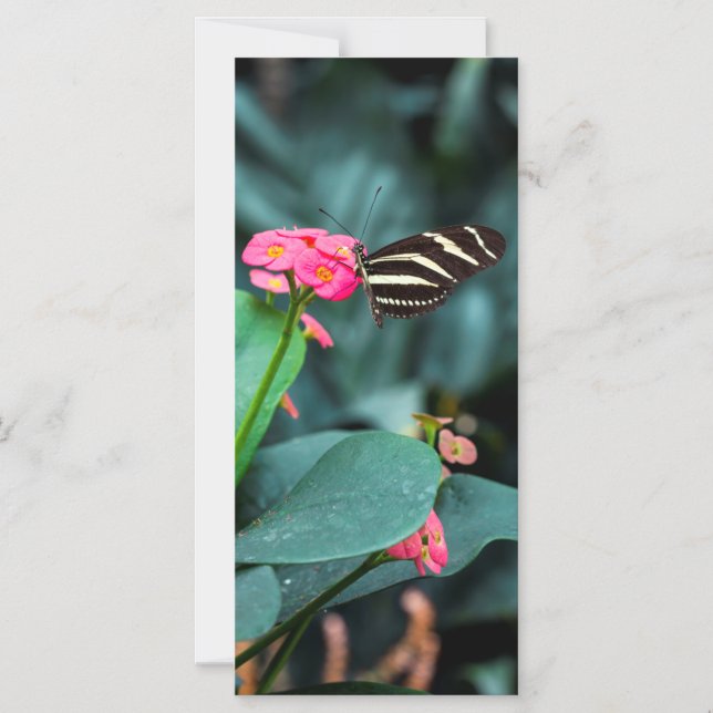 Convite Bela borboleta em uma flor rosa (Frente)