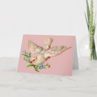 bela pomba branca com ramo na boca