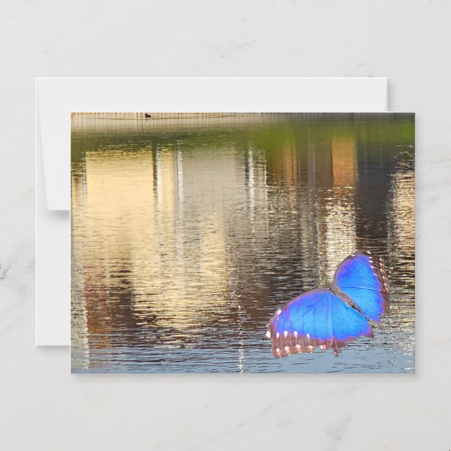 Convite Blue Wing Reflection (Frente)