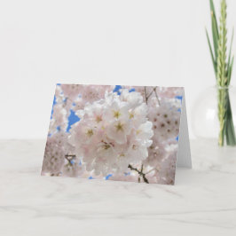 Convite Bolas de Flor de Rosa.