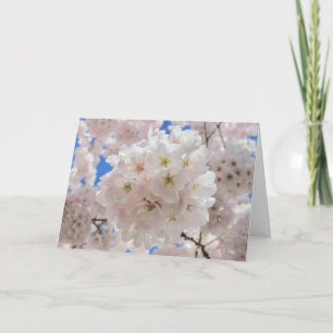 Convite Bolas de Flor de Rosa.